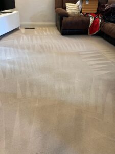 carpet-after-3-225x300