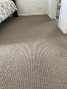 carpet-after-7-225x300