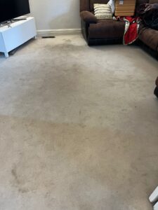 carpet-before-3-225x300