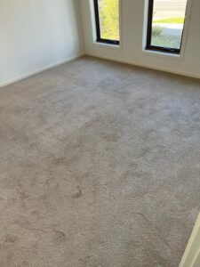 carpet-before-5-225x300