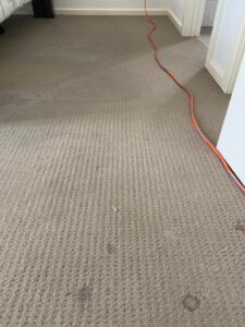 carpet-before-7-225x300