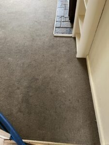 before vic steam cleaning